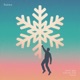 Flakes Single