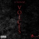 Voices Single
