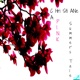 A PINK Summer s Tale