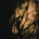 Silhouettes Single