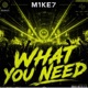 What You Need Single
