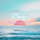 Crazy Single