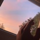 BIPOLAR DREAMCHASER Single