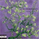 Supérfluo Speed Up feat Jeff DevilFish Single