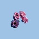 On My Own Single