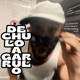 De Chulo a Garrulo Single
