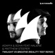 Twilight vs Breathe feat Haliene Matthew Steeper Reality Test Remix Single