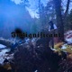 Insignificant Single