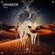 Ghareeb Single