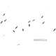 Seagulls Single