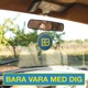 Bara vara med dig Single