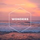Wonders Single