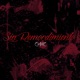 Sin Remordimiento Single