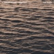 The Waves Single