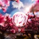 Purpose Direction EP