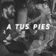 A Tus Pies feat José Meyer Ibarra Thermo Ruko Vagales Tenampa Brass Band Diego Orta Galgo Peri Durán La Guíshi Funk Ricki Kaiser Dolphant Tavo Murillo Samy Barba Ángel Yeshúa Gerardo Ballesteros Single