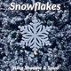Snowflakes feat Spud Single