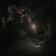 Proceed Proceed NotioN Remix Single