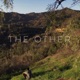The Other Single