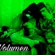 Volumen Single