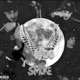 Woo Star Single