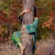 Listen to the Earth Single