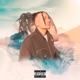 Panamera Conversivel Single