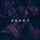 Sorry Single