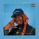 What I Like Freestyle Single