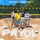 PRYGL feat 625DEDY Greensch Mauris1K Velkejzlejpes Single