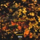 the knowledge Single