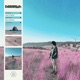 Look To The Sky Single