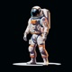 Project 243 Single