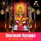 Sharanam Ayyappa feat Vijay Krishna Boddupally Single