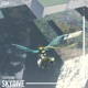 Skydive Single