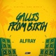 Gallis from Birth Single