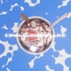 Cinnamon Shake Single