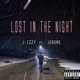 Lost in the Night feat Jerome Single