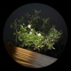 Fine Rise EP