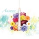Answer Single