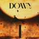 Down Single
