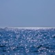 San Clemente Single