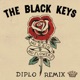 No Rain No Flowers Diplo Remix Single