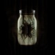 Specimen feat Seraphim777 Single