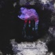 Comprehension Single