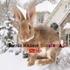 House Rabbit Christmas Single