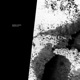 Playa III Omen Single