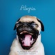 Alegría feat Cata Raybaud Single