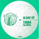 Algae EP