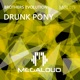 Drunk Pony Single